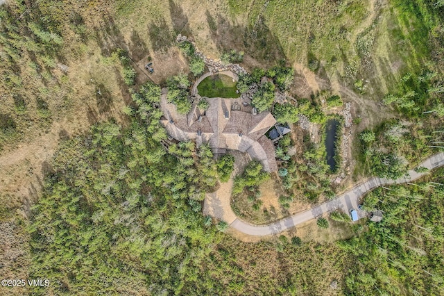 909 Ute Forest Ln, Edwards, CO 81632 - photo 46