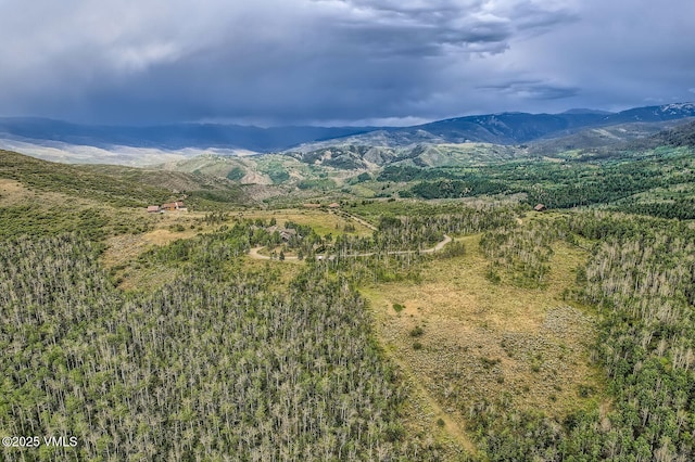 909 Ute Forest Ln, Edwards, CO 81632 - photo 45