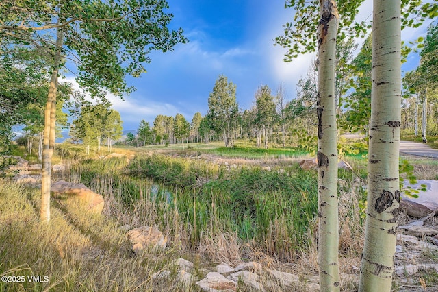 909 Ute Forest Ln, Edwards, CO 81632 - photo 38