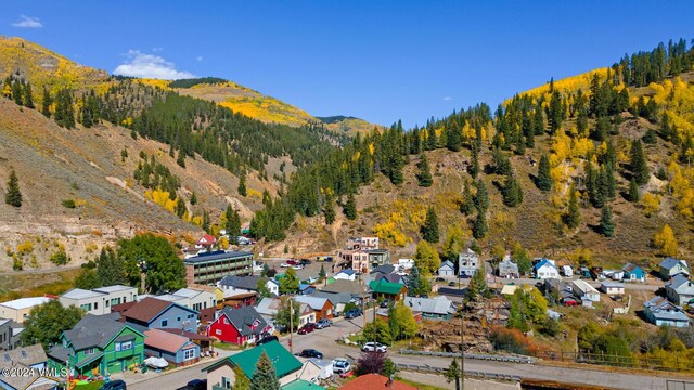 216 Monument St, Red Cliff, CO 81649 - aerial perspective of suburban area with mountains and a heavily wooded area
