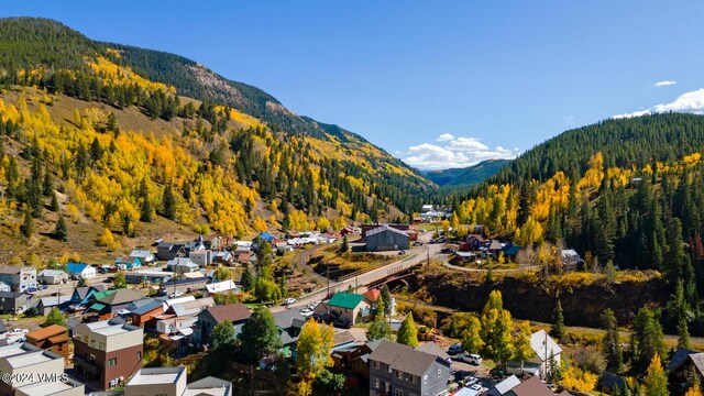 216 Monument St, Red Cliff, CO 81649 - aerial perspective of suburban area featuring a heavily wooded area and mountains