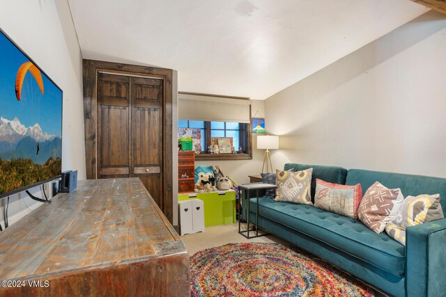 216 Monument St, Red Cliff, CO 81649 - living area with carpet floors
