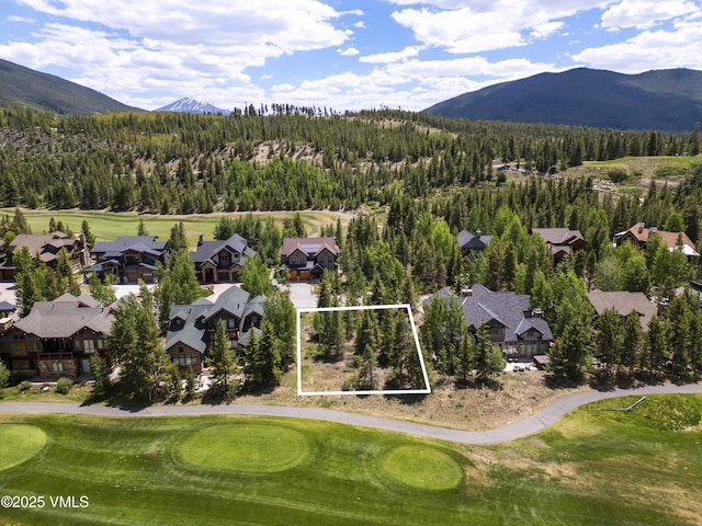281 Elk Cir, Dillon, CO 80435 - photo 9