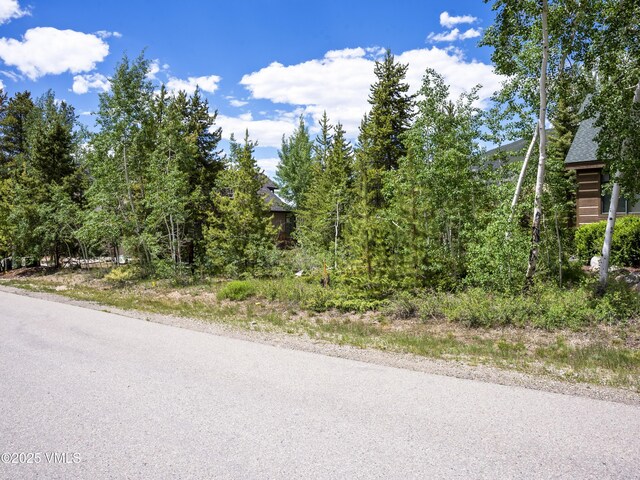 281 Elk Cir, Dillon, CO 80435 - photo 11