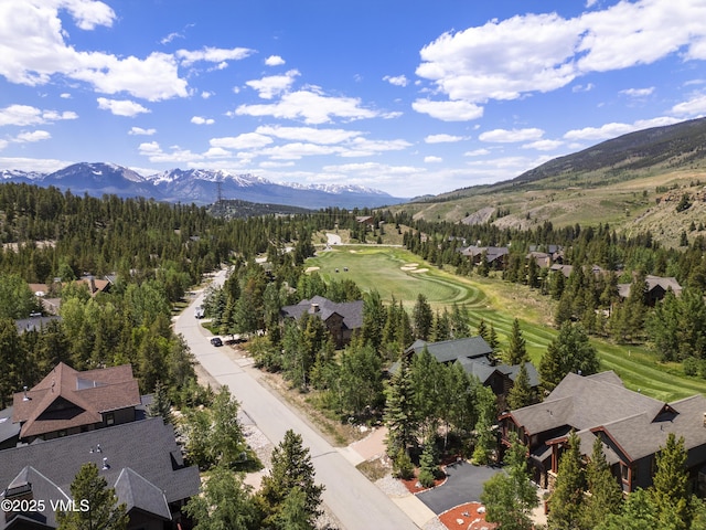 281 Elk Cir, Dillon, CO 80435 - photo 3