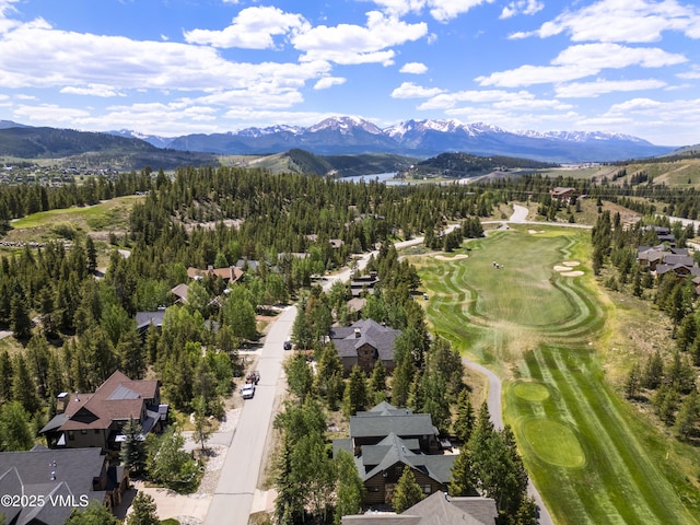 281 Elk Cir, Dillon, CO 80435 - photo 10
