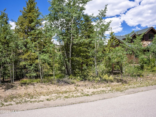 281 Elk Cir, Dillon, CO 80435 - photo 13