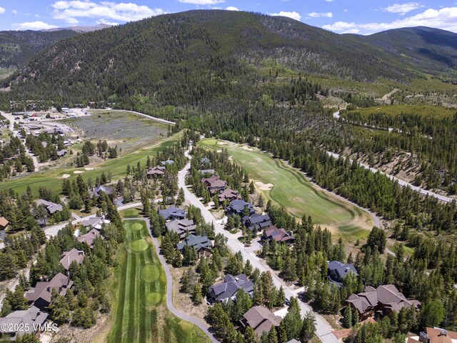 281 Elk Cir, Dillon, CO 80435 - photo 2