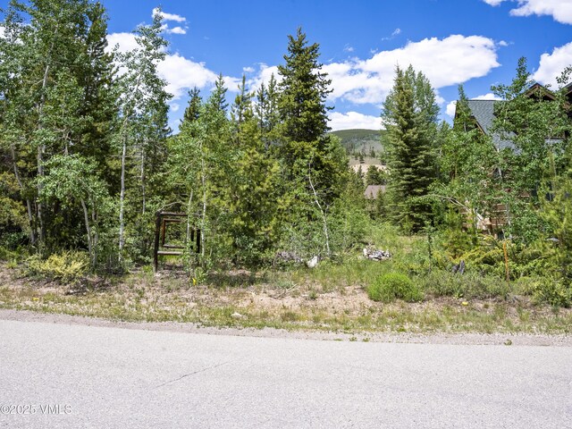 281 Elk Cir, Dillon, CO 80435 - photo 12
