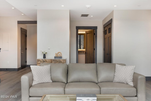 living room featuring wood-type flooring