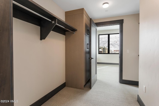42 Riverfront Ln Unit 507, Avon, CO 81620 - spacious closet with light carpet