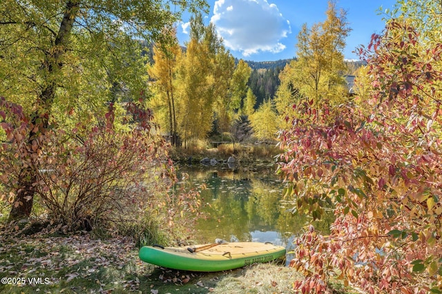 89 Trout Pond Ln, Avon, CO 81620 - water view featuring a heavily wooded area