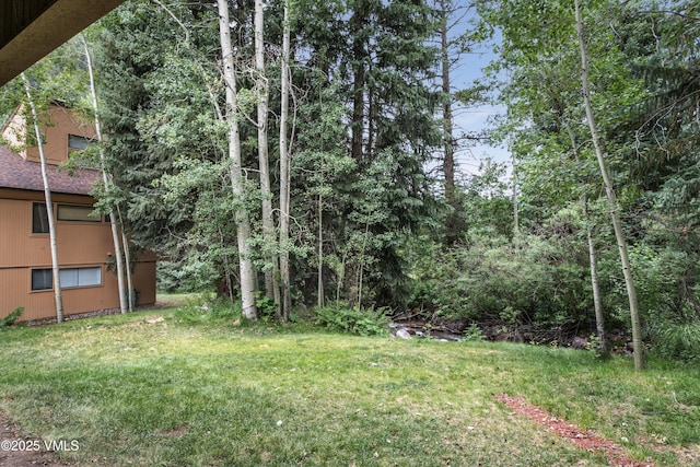 3911 Bighorn Rd Unit 1-B, Vail, CO 81657 - photo 12