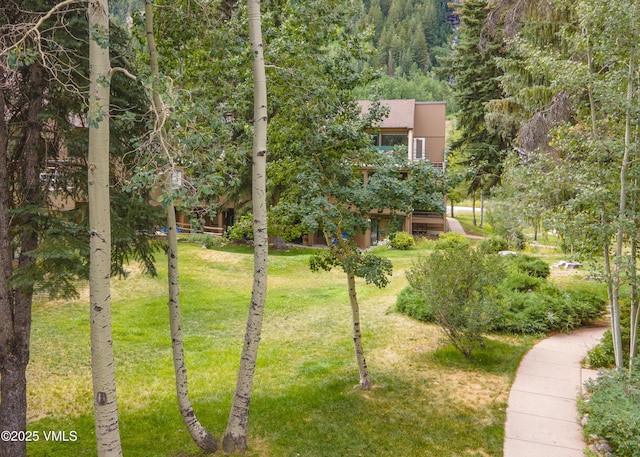 3931 Bighorn Rd Unit 5M, Vail, CO 81657 - photo 30