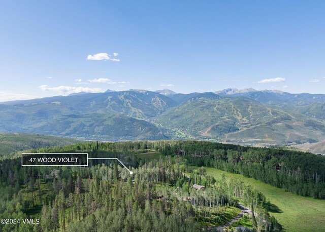 47 Woodviolet Rd, Avon, CO 81620 - view of mountain feature featuring a wooded view
