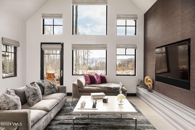 living room with wood-type flooring and high vaulted ceiling