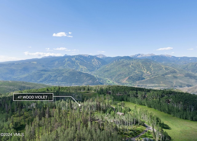 47 Woodviolet Rd, Avon, CO 81620 - view of mountain feature with a forest view