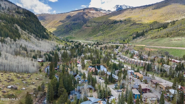 4255 Columbine Way Unit 16, Vail, CO 81657 - mountain view