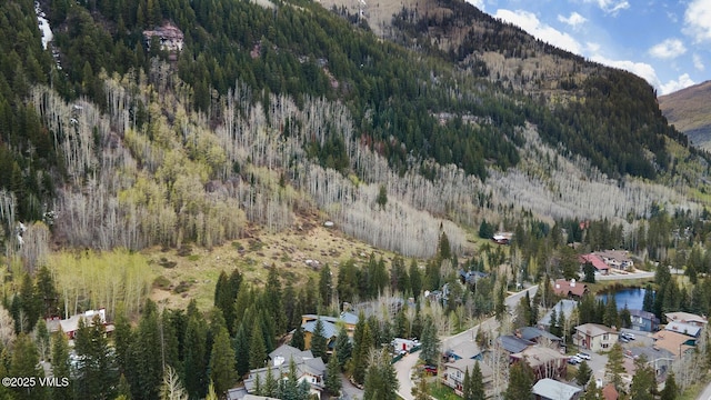 4255 Columbine Way Unit 16, Vail, CO 81657 - view of property location featuring a forest and a mountain backdrop