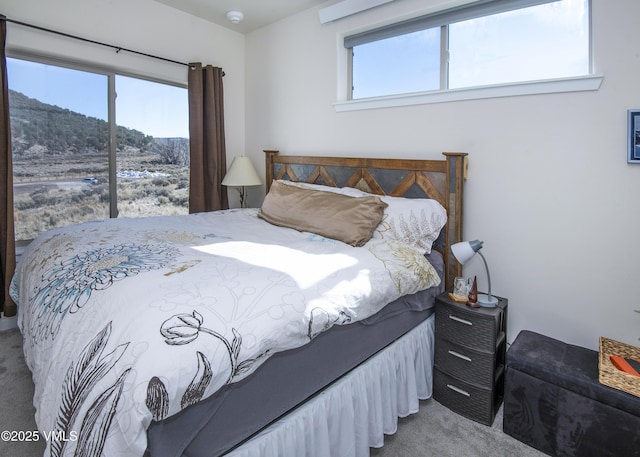 bedroom with carpet flooring