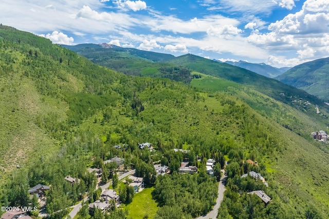 birds eye view of property with a mountain view