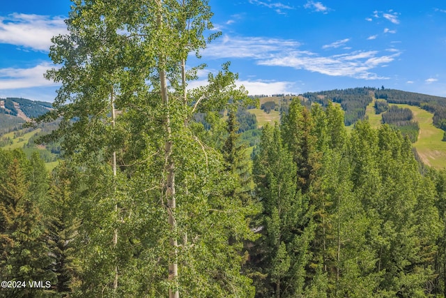 view of mountain feature