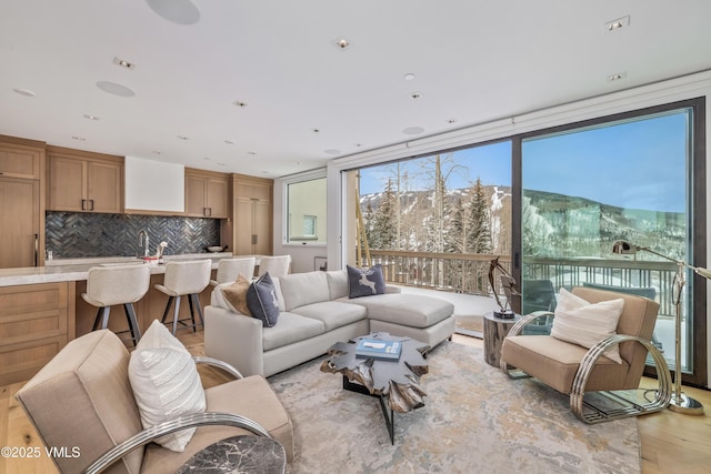 living room featuring a mountain view and light hardwood / wood-style floors