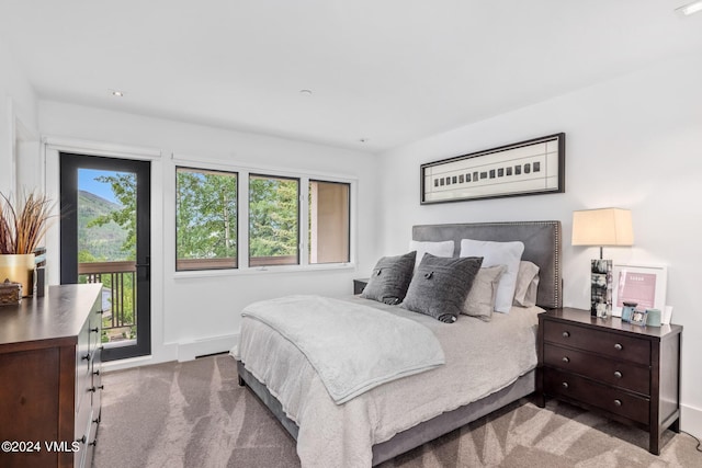 bedroom with carpet floors