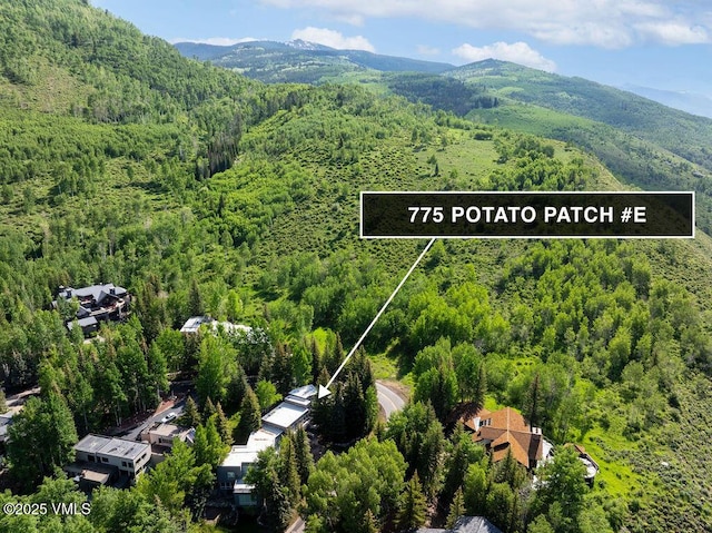 775 Potato Patch Dr Unit E, Vail, CO 81657 - aerial view of property and surrounding area with mountains and property parcel outlined