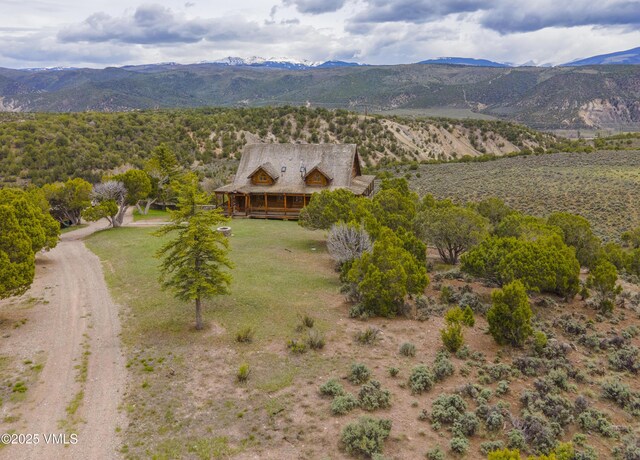650 Castle Peak Ranch Rd, Eagle, CO 81631 - photo 48