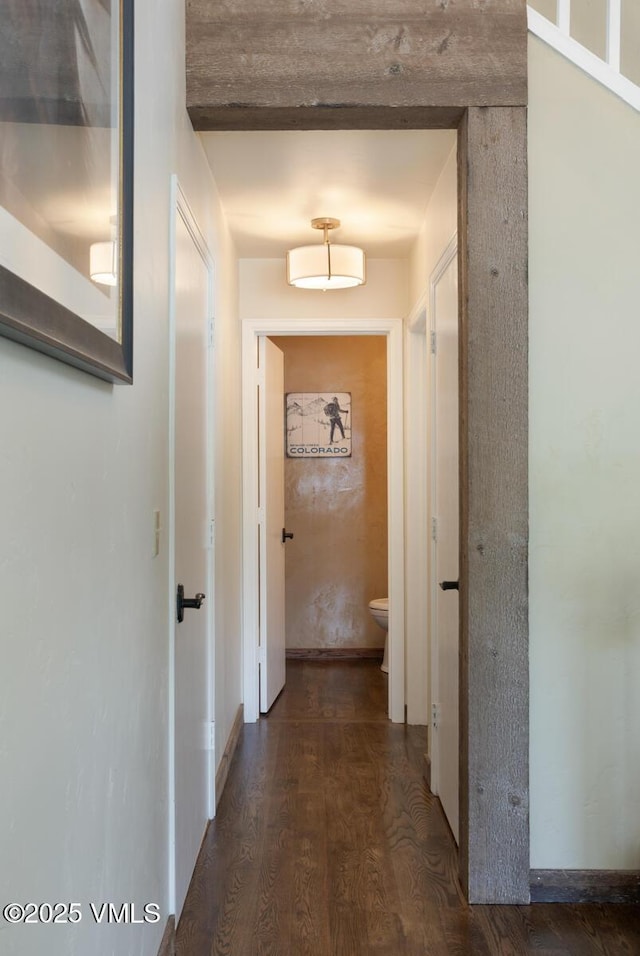 470 Homestead Dr Unit 24, Edwards, CO 81632 - corridor with dark wood-style flooring