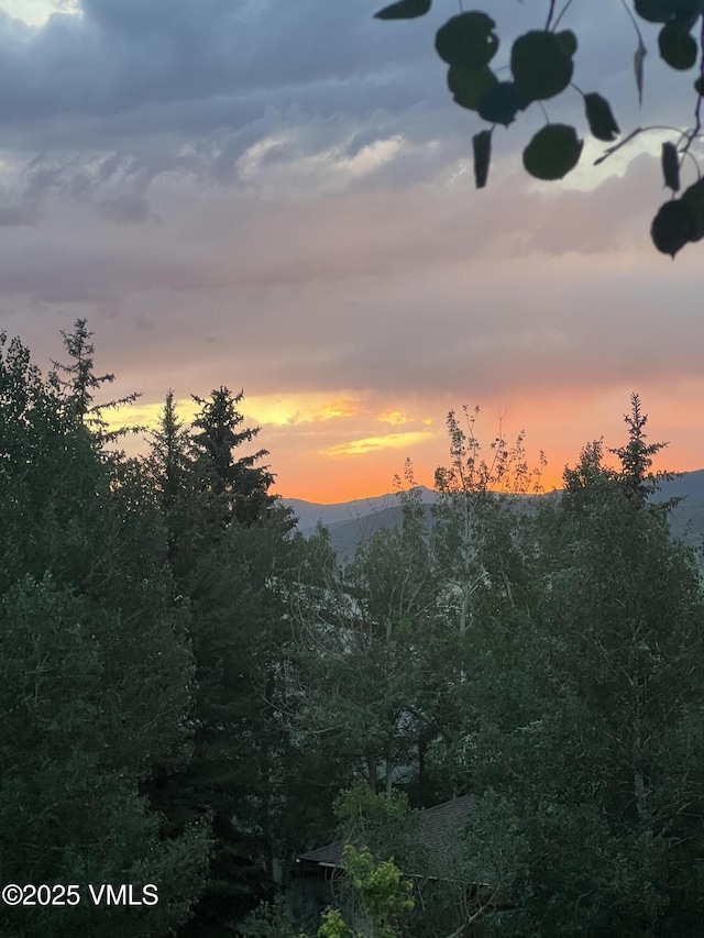 225 Daisy Ln Unit A, Eagle-Vail, CO 81620 - mountain view