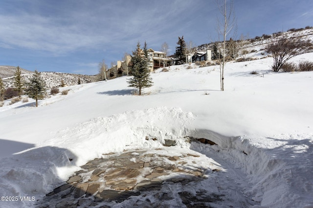 view of yard covered in snow