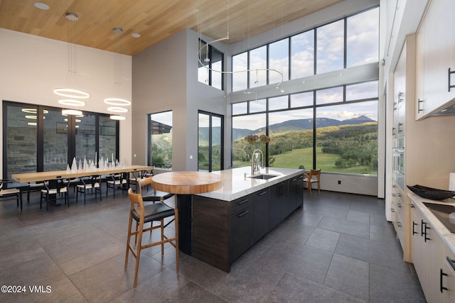 kitchen featuring sink, a kitchen island with sink, white cabinets, a mountain view, and decorative light fixtures