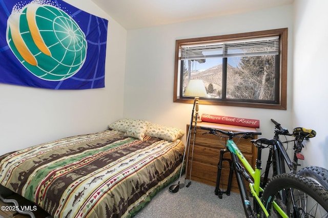 bedroom featuring carpet flooring