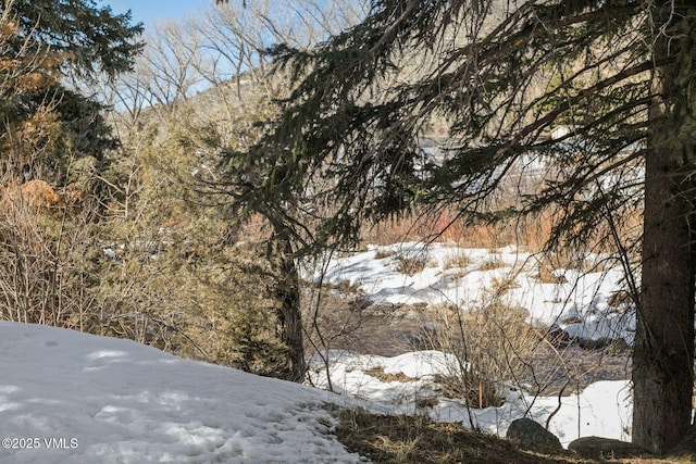 view of snowy landscape