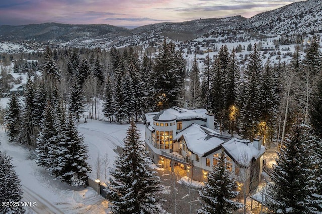 1531 Lake Creek Rd, Edwards, CO 81632 - view of mountain backdrop featuring a forest