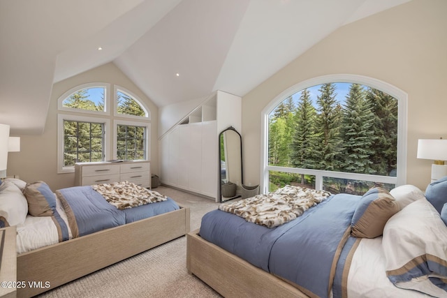 1531 Lake Creek Rd, Edwards, CO 81632 - bedroom with carpet floors and high vaulted ceiling
