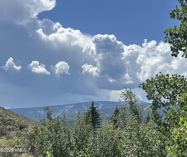 81 Palomino Rd # E, Edwards, CO 81632 - photo 3