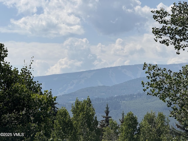 81 Palomino Rd # E, Edwards, CO 81632 - photo 12