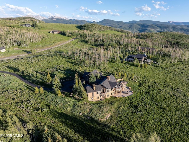 342 Gore Trl, Edwards, CO 81632 - photo 36