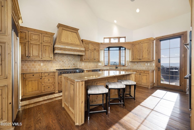 342 Gore Trl, Edwards, CO 81632 - photo 12