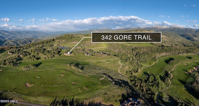 342 Gore Trl, Edwards, CO 81632 - photo 37