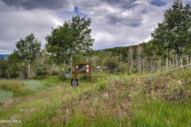 129 Bermuda Dr, Edwards, CO 81632 - photo 37