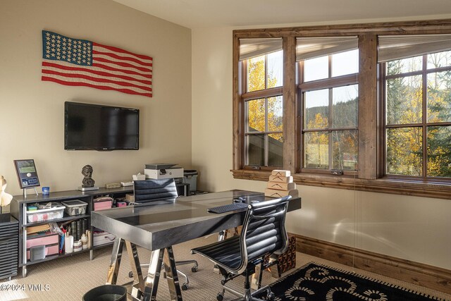 view of carpeted home office