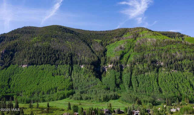 3115 Booth Falls Ct Unit B, Vail, CO 81657 - photo 37
