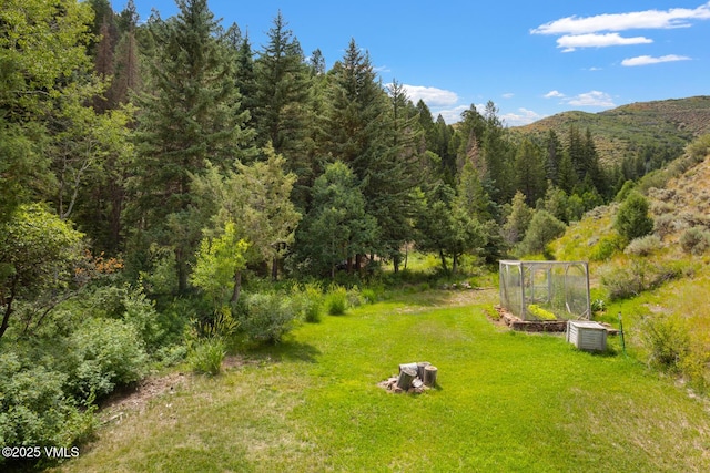 1153 Squaw Creek Rd, Edwards, CO 81632 - photo 5