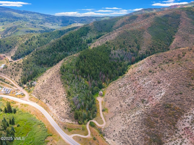 1153 Squaw Creek Rd, Edwards, CO 81632 - photo 10