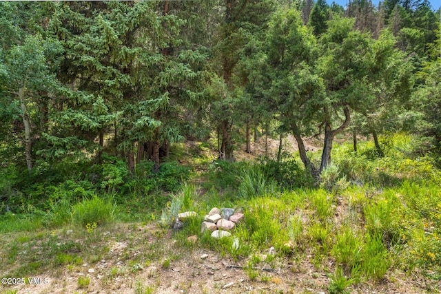 1153 Squaw Creek Rd, Edwards, CO 81632 - photo 34