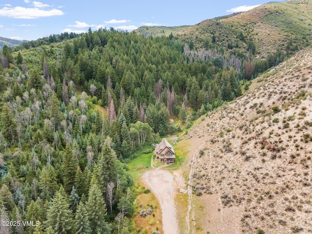 1153 Squaw Creek Rd, Edwards, CO 81632 - photo 7